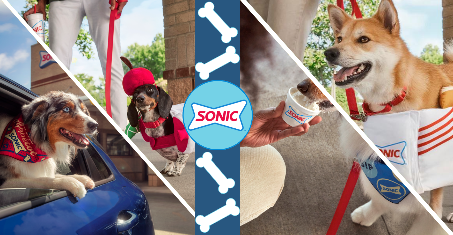 Sonic Launches Collection of Merch for Dogs - QSR Magazine